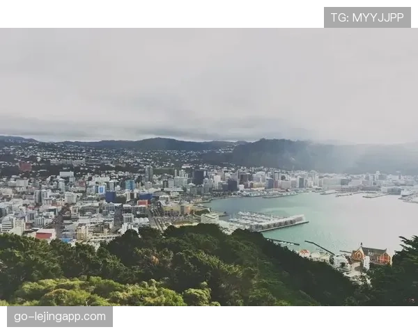 新西兰G组专题深度解读
